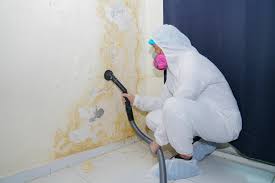 Best Biohazard Mold Removal  in Lake Hallie, WI